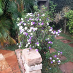 Casa à venda com 2 suítes em Jardim Eliana, Araraquara, SP
