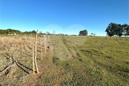 Terreno à venda em Sanga Puita, Ponta Porã, MS