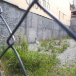 Terreno à venda em Casa Verde, São Paulo, SP