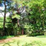 Casa Térrea à venda com 3 quartos, sendo 1 suíte, em Granja Julieta, São Paulo, SP