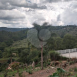 Casa à venda com 4 suítes no condomínio Alpes de Mairiporã, Mairiporã - SP