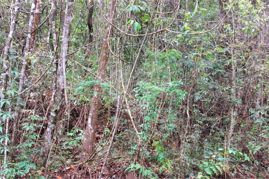 Terreno à venda no condomínio Alpes da Cantareira, Mairiporã - SP