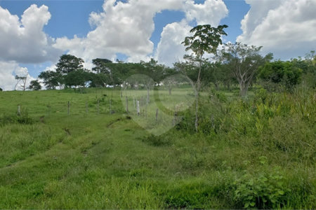 Sitio para venda.