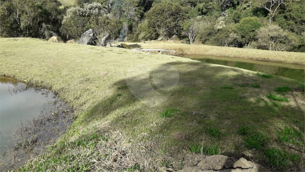 Chácara à venda com 8 quartos, sendo 3 suítes, no Centro, Toledo, MG
