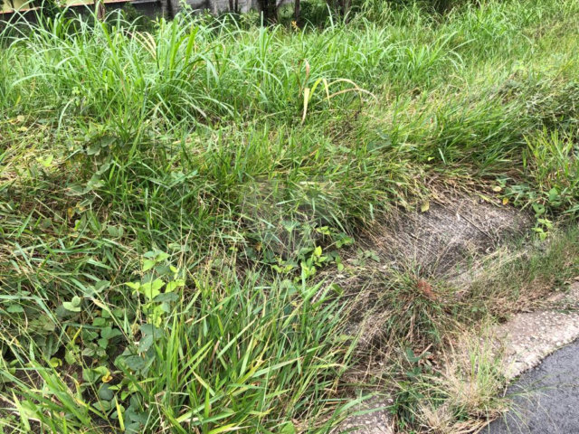 Terreno à venda em Serra da Cantareira, Mairiporã, SP