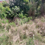 Terreno à venda em Campo Grande, Rio de Janeiro, RJ