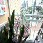 Apartamento à venda com 3 quartos, sendo 1 suíte,  em Vila Paulo Silas, São Paulo, SP