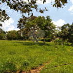 Terreno à venda em Chácaras do Guacuri, Itupeva, SP