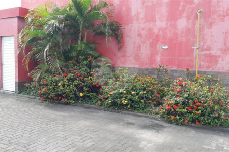 Terreno à venda ou para alugar em Bangu, Rio de Janeiro, RJ