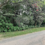 Casa Térrea à venda ou para alugar com 2 quartos em Colinas do Mosteiro de Itaici, Indaiatuba, SP