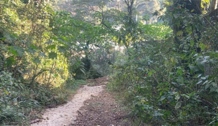 Terreno à venda em Serra da Cantareira, Mairiporã, SP