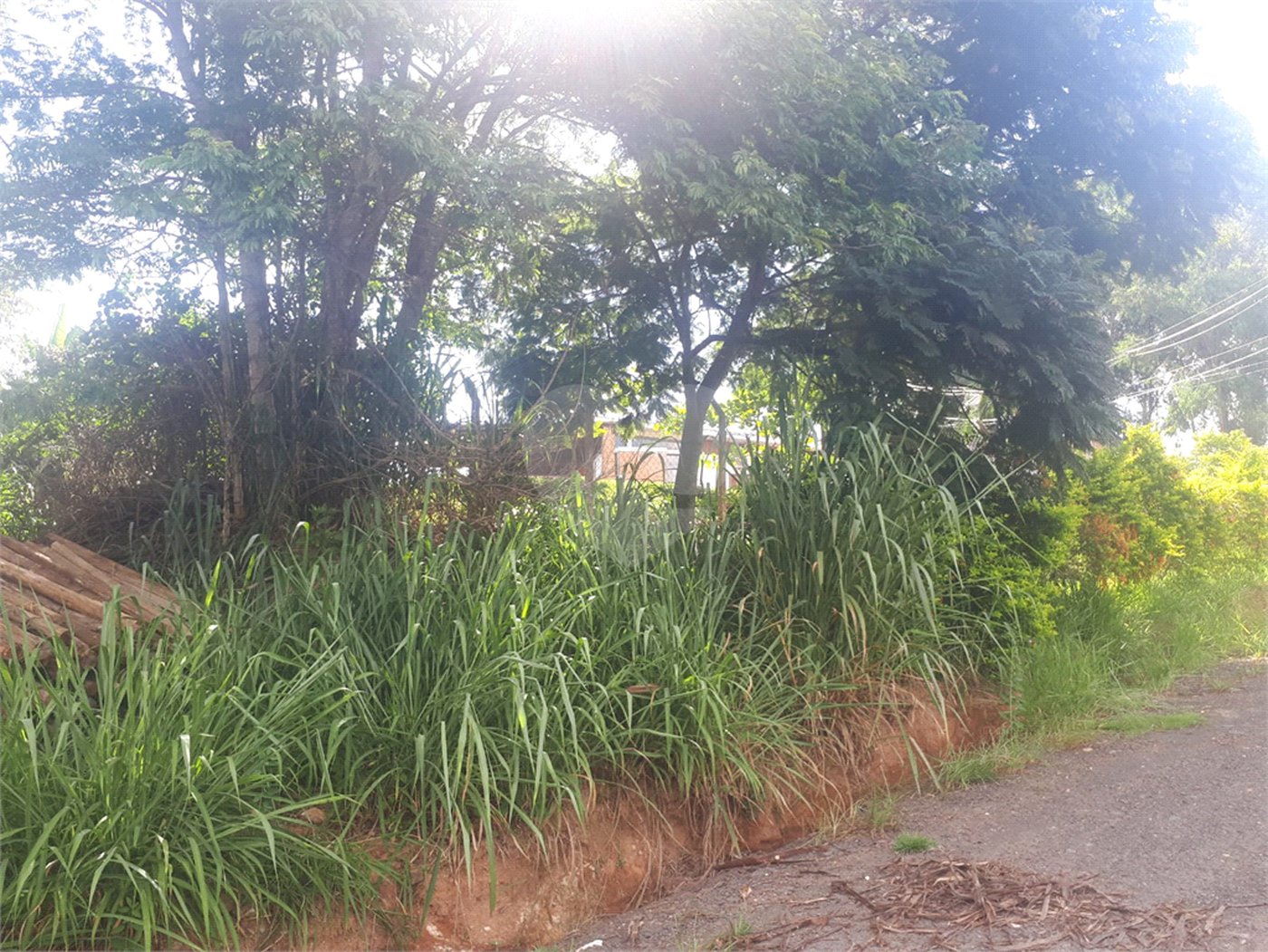 Terreno à venda em Vale Verde, Valinhos, SP