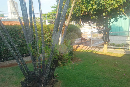 Casa Térrea à venda com 4 quartos, sendo 1 suíte, em Vila Trujillo, Sorocaba, SP
