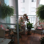 Apartamento à venda com 3 quartos, sendo 1 suíte, em Vila Guilherme, São Paulo, SP