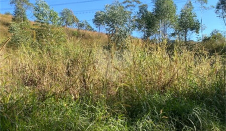 Terreno à venda em Caete (mailasqui), São Roque, SP