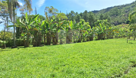 Chácara à venda com 4 quartos, sendo 1 suíte,  em Taiaçupeba, Mogi das Cruzes, SP