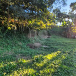 Terreno à venda em Geribá, Armação dos Búzios, RJ