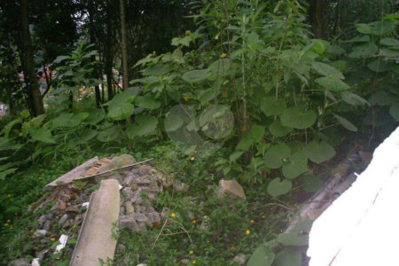 Terreno à venda em Morumbi, São Paulo, SP