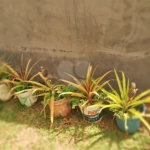 Chácara à venda com 8 quartos, sendo 5 suítes, em Chácara Belvedere, Indaiatuba, SP