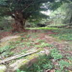 Terreno à venda no condomínio Associação Reserva das Hortênsias, Mairiporã - SP