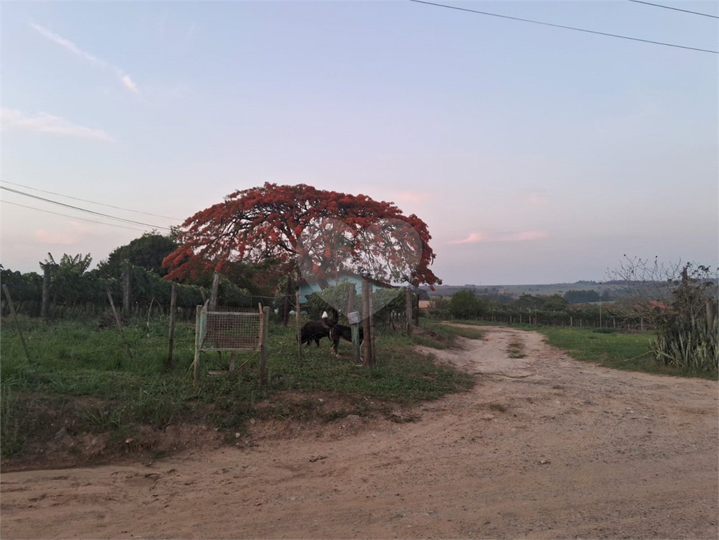 Sítio à venda com 2 quartos em Mirim, Indaiatuba, SP