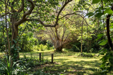 Terreno à venda em Jardim Patriarca, Ribeirão Preto, SP