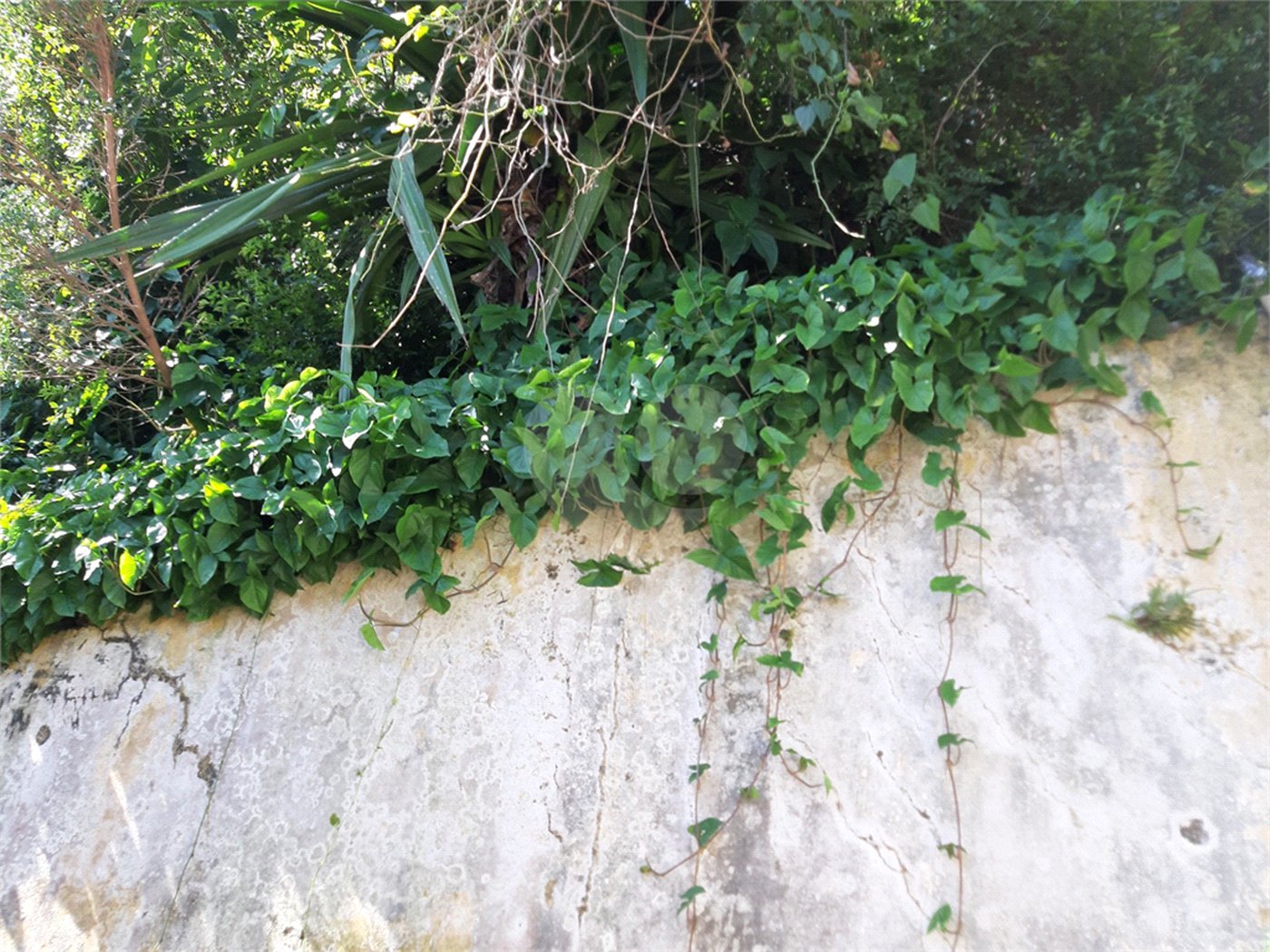 Terreno à venda em Vila Irmãos Arnoni, São Paulo, SP