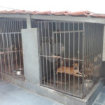 Casa à venda com 5 quartos, sendo 2 suítes,  em Maracanã, Rio de Janeiro, RJ
