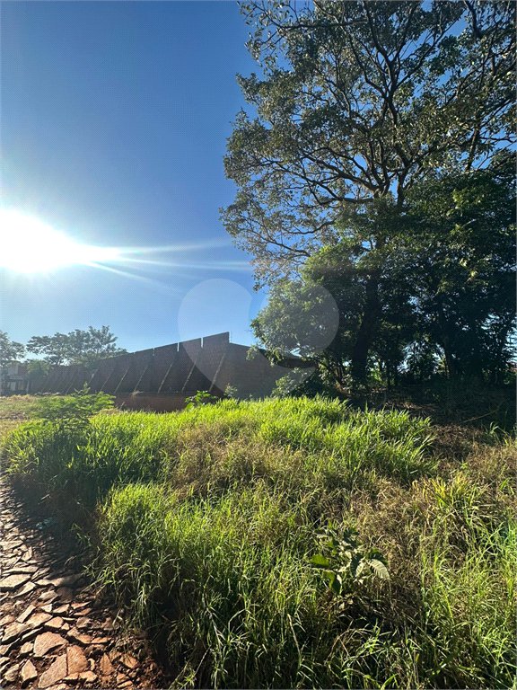 Terreno à venda em Pedro Juan Caballero, Amambay