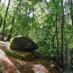 Terreno à venda em Vila Irmãos Arnoni, São Paulo, SP