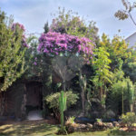 Chácara à venda com 4 quartos, sendo 1 suíte,  em Vila Dom Pedro, Atibaia, SP