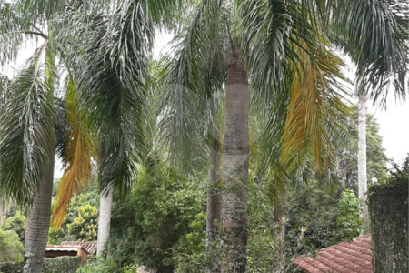 Casa Térrea à venda ou para alugar com 2 quartos em Colinas do Mosteiro de Itaici, Indaiatuba, SP