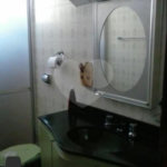 Sobrado à venda com 3 quartos, sendo 1 suíte, em Vila Guilherme, São Paulo, SP