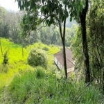 Casa Térrea à venda com 3 quartos, sendo 1 suíte, em Rio Abaixo, Mairiporã, SP