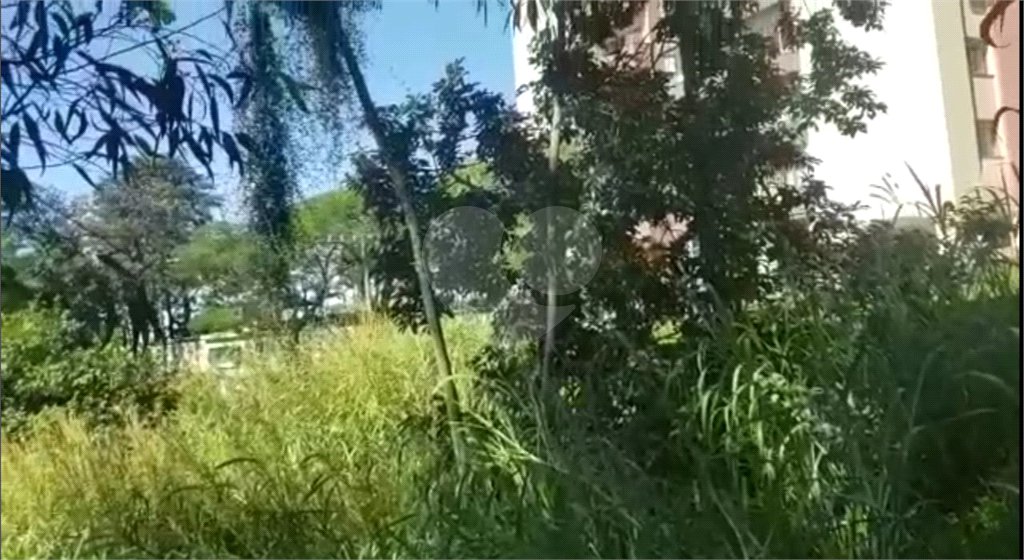 Terreno à venda em Paraisópolis, São Paulo, SP
