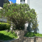 Apartamento para alugar com 3 quartos, sendo 1 suíte, em Pinheiros, São Paulo, SP