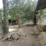 Terreno à venda em Pinheirinho, Vinhedo, SP