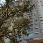 Apartamento à venda com 2 quartos em Jardim Umarizal, São Paulo, SP