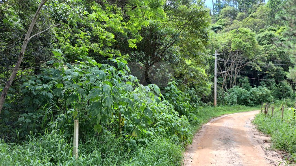 Terreno à venda em Serra da Cantareira, Mairiporã, SP