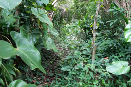 Terreno à venda em Vila Irmãos Arnoni, São Paulo, SP