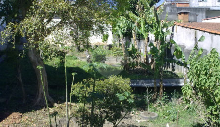 Terreno à venda ou para alugar em Parque das Nações, Santo André, SP