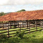 Fazenda à venda com 2 quartos em Canabrava, João Pinheiro, MG