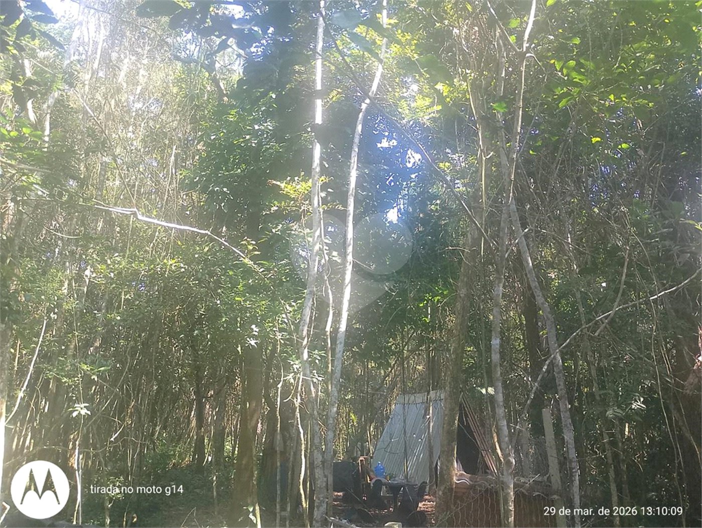Terreno à venda em Dos Finco, São Bernardo do Campo, SP