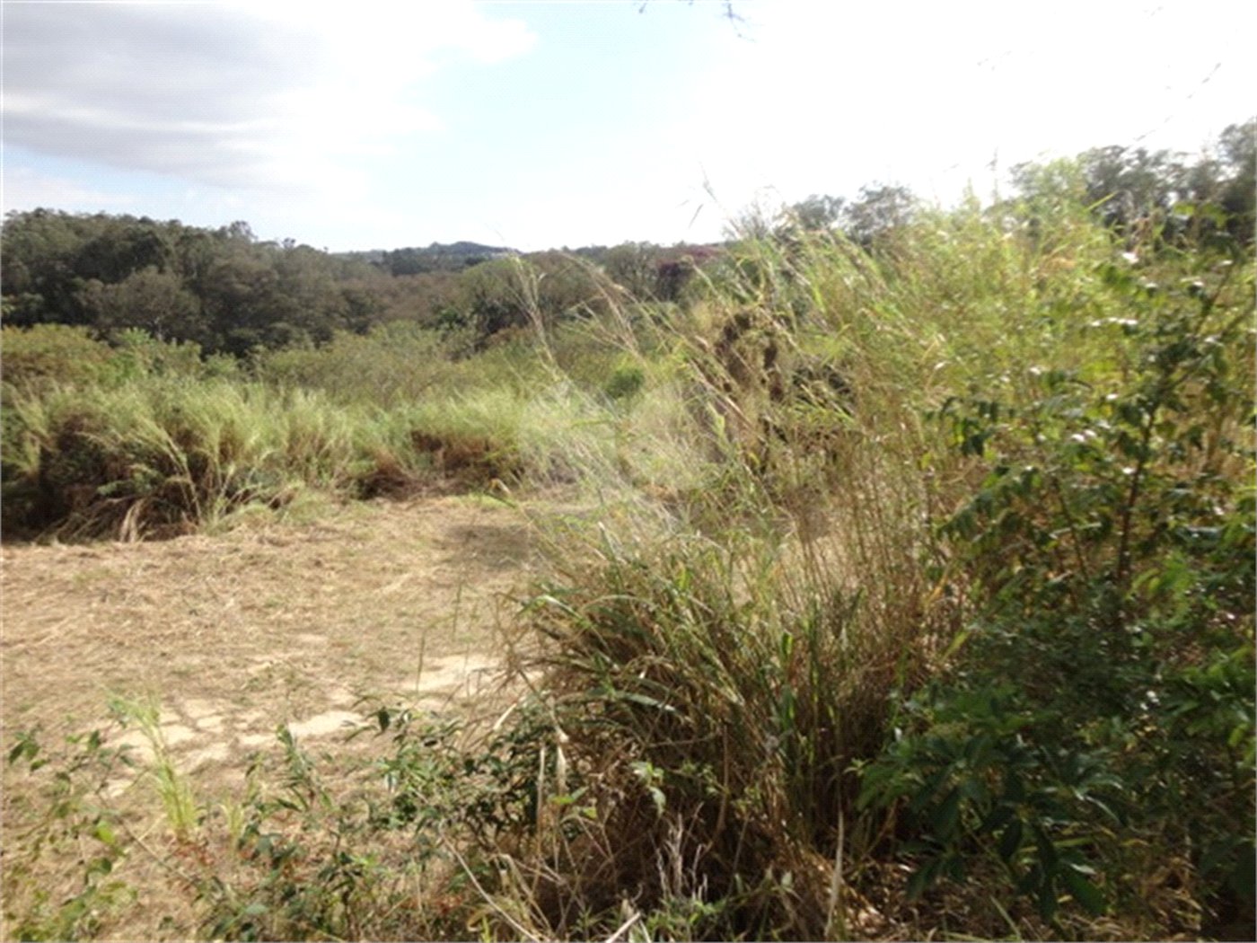 Terreno à venda ou para alugar em Cachoeira, Vinhedo, SP