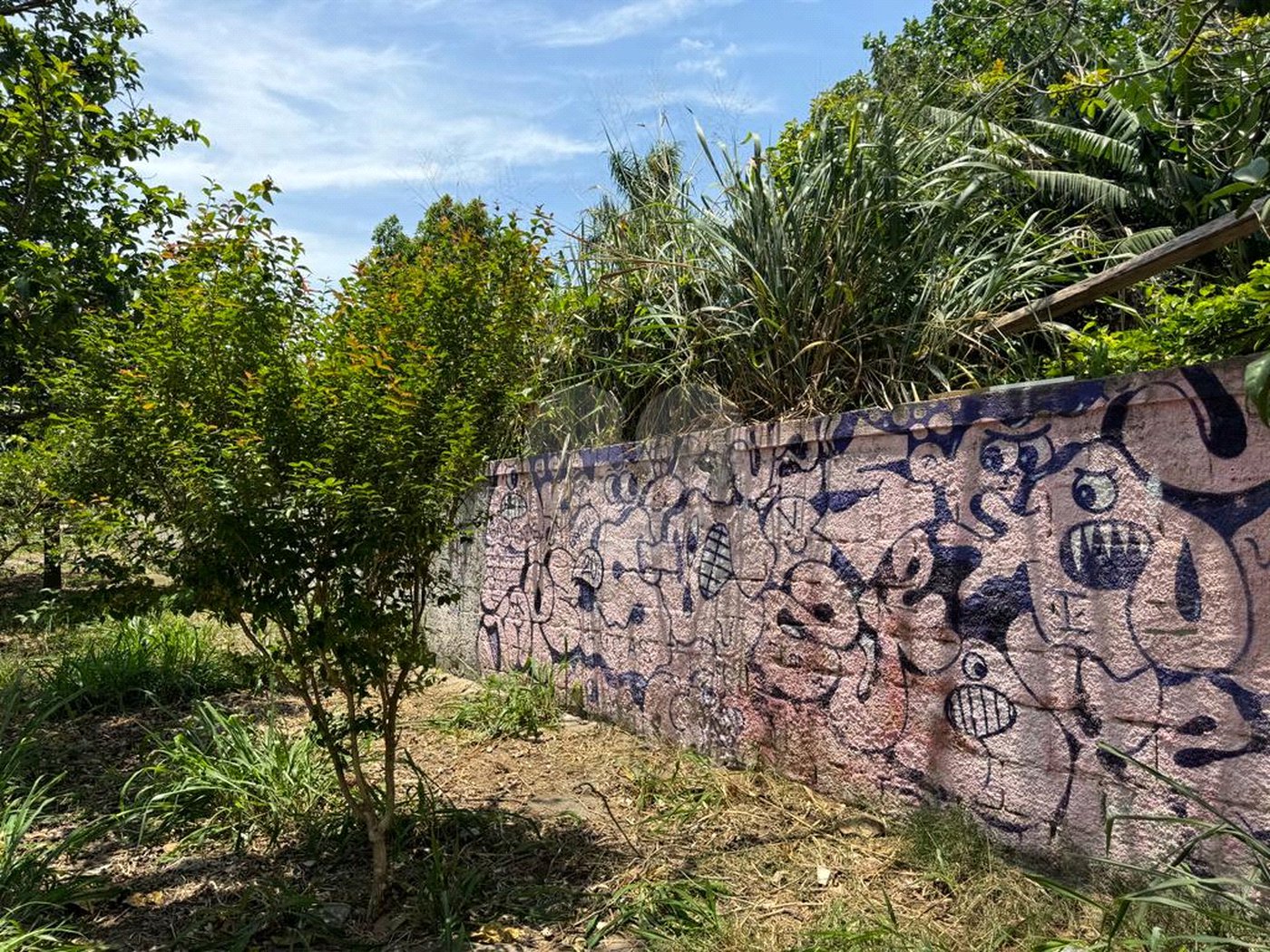 Terreno à venda em Interlagos, São Paulo, SP