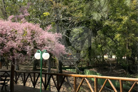 Sobrado em Meio à Natureza no Condomínio São Joaquim – Vinhedo/SP