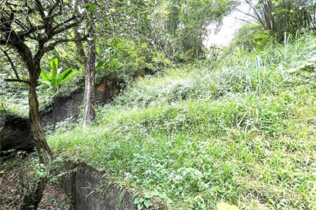 Terreno Residencial à venda, Morro de Nova Cintra, Santos - TE0034.