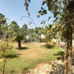 Apartamento à venda com 2 quartos em Residencial Jequitibá, Ribeirão Preto, SP