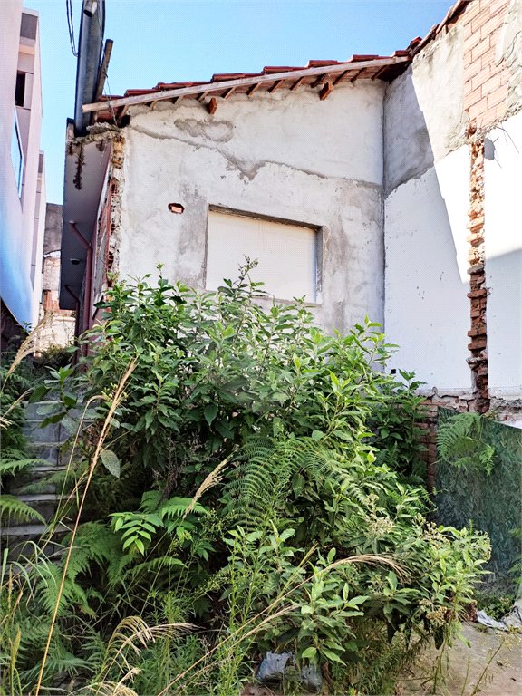 Terreno à venda em Vila Guilherme, São Paulo, SP