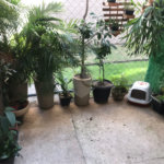 Apartamento à venda com 2 quartos em Campo Grande, Rio de Janeiro, RJ